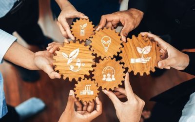 Come impostare assetti societari adeguati